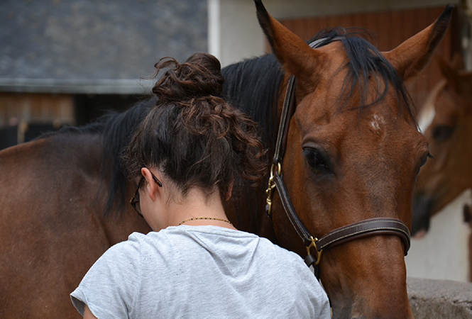 Horse riding, hiking, cycling